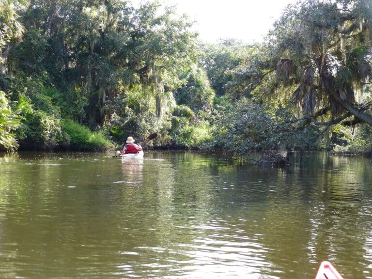 Kayaking & Paddleboarding