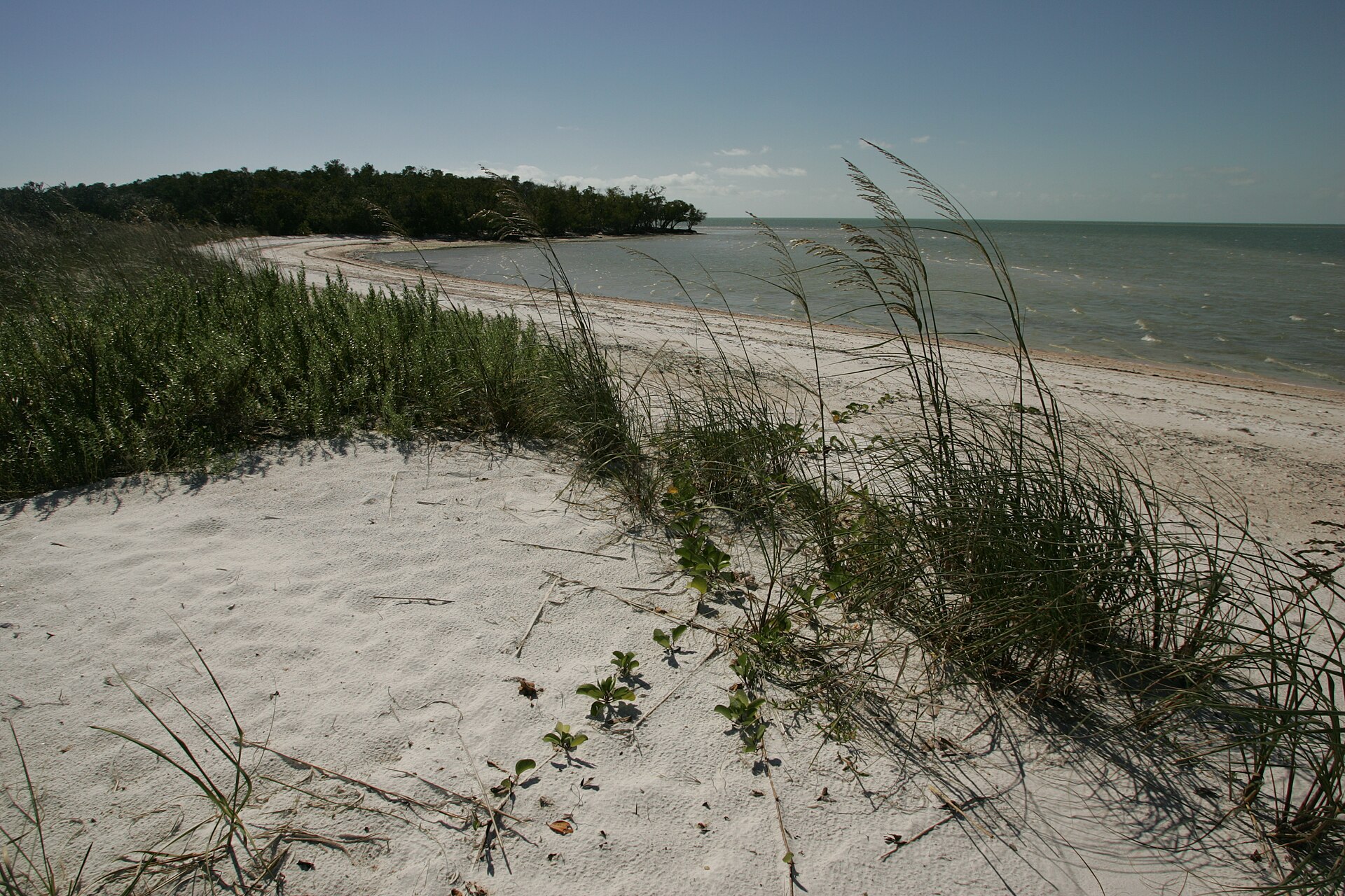 Everglades & Ten Thousand Islands